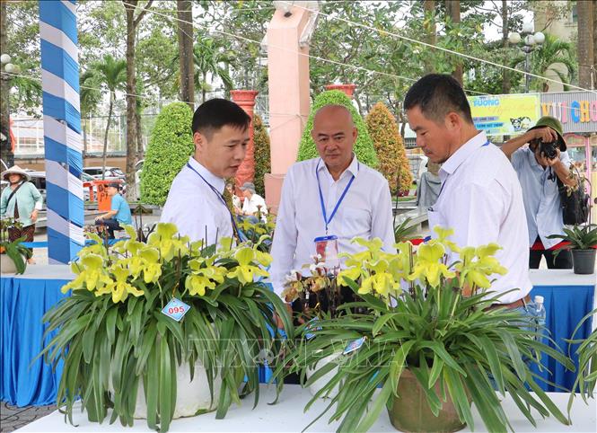 Ban giám khảo đánh giá các tác phẩm dự thi. Ảnh: Lê Thúy Hằng – TTXVN. 