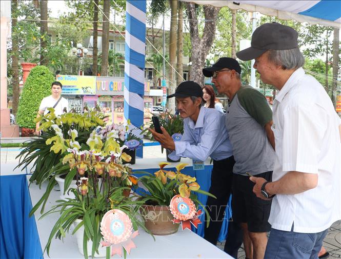 Người dân tham quan chụp ảnh các tác phẩm. Ảnh: Lê Thúy Hằng – TTXVN. 