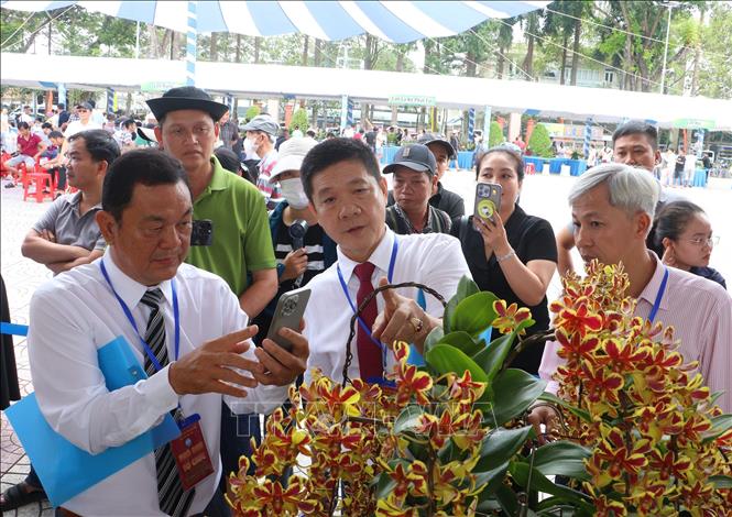 Ban giám khảo đánh giá các tác phẩm dự thi. Ảnh: Lê Thúy Hằng – TTXVN. 