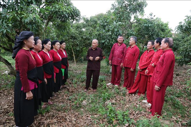 A traditional singing club of San Diu ethnic in Luc Ngan commune, Bac Ninh province. VNA Photo: Việt Hùng