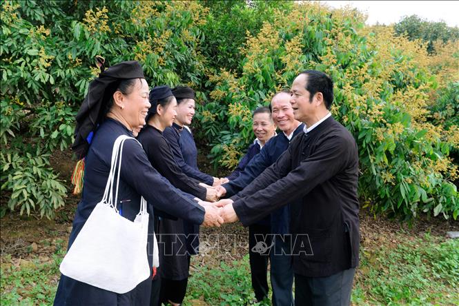 Tay ethnic minority in Kien Lao commune wearing their indigo-dyed clothes. VNA Photo: Việt Hùng