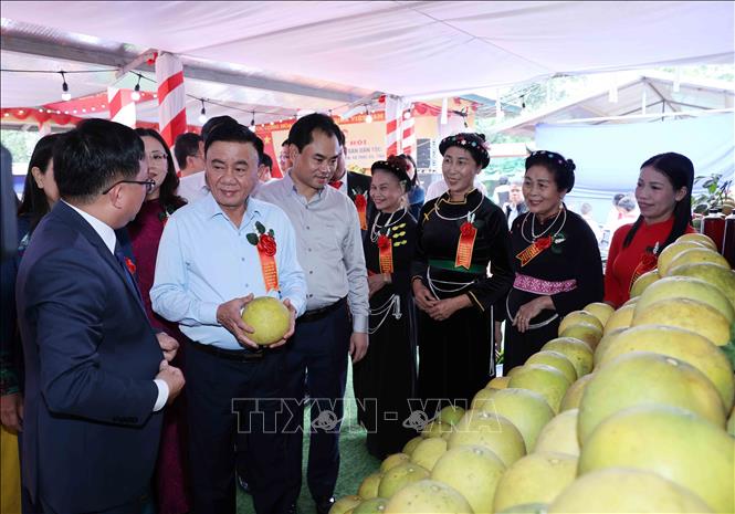 Thường trực Ban Bí thư Trần Cẩm Tú thăm gian trưng bày sản phẩm nông nghiệp của thôn Hồ Sen và thông Ngòi Lẻn, xã Thác Bà. Ảnh: Phương Hoa - TTXVN