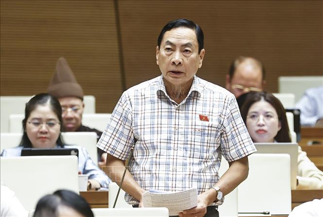 Đại biểu Quốc hội tỉnh Đồng Tháp Phạm Văn Hòa phát biểu. Ảnh: Doãn Tấn - TTXVN