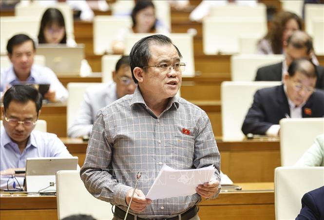 Đại biểu Quốc hội TP. Hồ Chí Minh Nguyễn Tâm Hùng phát biểu. Ảnh: Doãn Tấn - TTXVN