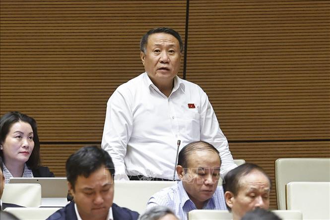 Đại biểu Quốc hội tỉnh Quảng Trị Hà Sỹ Đồng phát biểu. Ảnh: Doãn Tấn - TTXVN