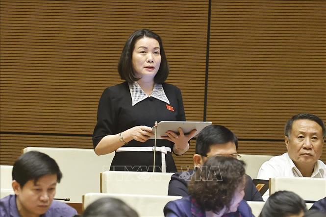 Đại biểu Quốc hội tỉnh Quảng Trị Nguyễn Minh Tâm phát biểu. Ảnh: Doãn Tấn - TTXVN