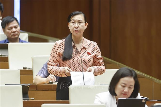 Đại biểu Quốc hội tỉnh Tây Ninh Phan Thị Mỹ Dung phát biểu. Ảnh: Doãn Tấn - TTXVN
