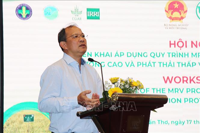 Ông Nguyễn Văn Hùng, chuyên gia cao cấp của Viện Nghiên cứu Lúa Gạo quốc tế (IRRI) chia sẻ quá trình thực hiện hỗ trợ triển khai thực hiện Đề án 1 triệu ha lúa. Ảnh: Thu Hiền - TTXVN