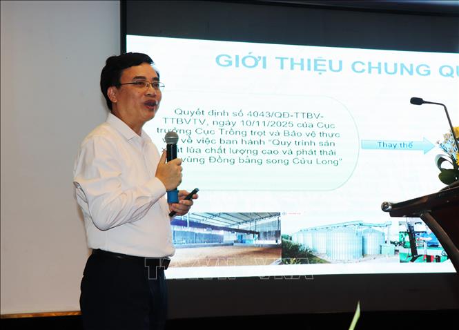 Ông Nguyễn Quốc Mạnh, Phó Cục trưởng Cục Trồng trọt và Bảo vệ thực vật thông tin về Quy trình sản xuất lúa chất lượng cao và phát thải thấp vùng Đồng bằng sông Cửu Long. Ảnh: Thu Hiền - TTXVN