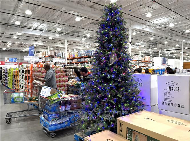 Cây thông Noel giả được bày bán tại một siêu thị ở bang Maryland. Ảnh: Ngọc Quang, PV TTXVN tại Mỹ.