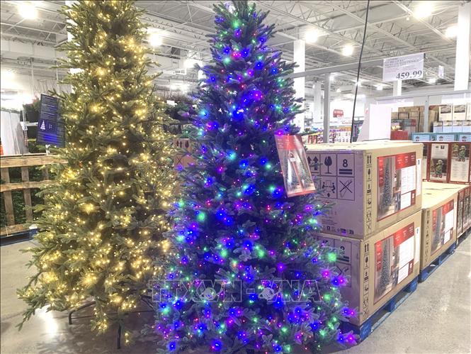 Cây thông Noel giả được bày bán tại một siêu thị ở bang Maryland. Ảnh: Ngọc Quang, PV TTXVN tại Mỹ.