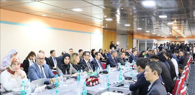 Phiên khai mạc Kỳ họp lần thứ 13 Ủy ban liên Chính phủ Việt Nam - Algeria. Ảnh: Mạnh Hùng - PV TTXVN tại Algeria 