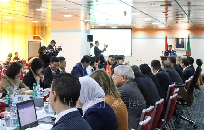 Phiên khai mạc Kỳ họp lần thứ 13 Ủy ban liên Chính phủ Việt Nam - Algeria. Ảnh: Mạnh Hùng - PV TTXVN tại Algeria 