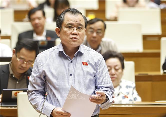 Đại biểu Quốc hội TP Hồ Chí Minh Nguyễn Tâm Hùng phát biểu. Ảnh: Doãn Tấn - TTXVN