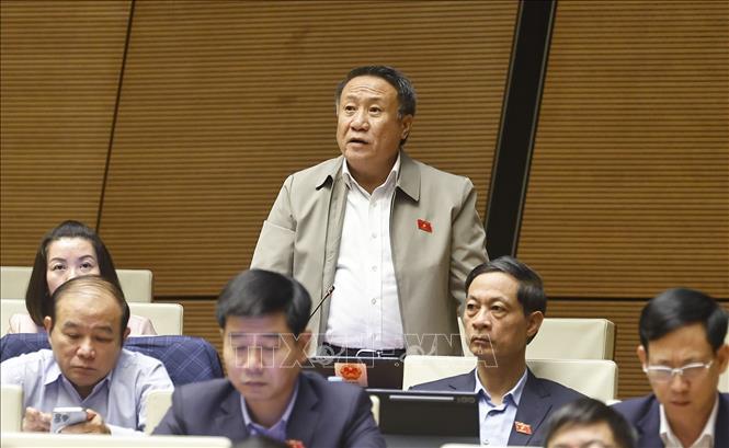 Đại biểu Quốc hội tỉnh Quảng Trị Hà Sỹ Đồng phát biểu. Ảnh: Doãn Tấn - TTXVN