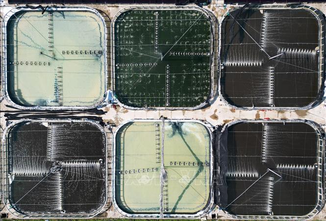 Công ty CPTM Cảnh Long, phường Ngọc Sơn, tỉnh Thanh Hoá, ứng dụng công nghệ cao trong nuôi trồng thuỷ sản. Ảnh: Lê Đông - TTXVN