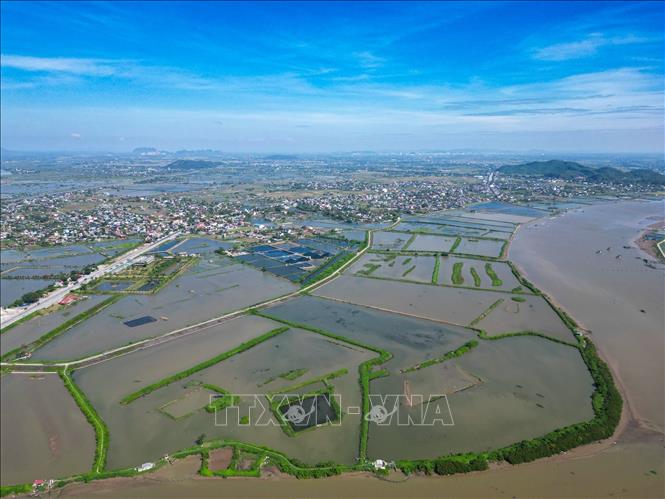 Diện tích nuôi tôm quảng canh tại xã Quảng Chính, tỉnh Thanh Hoá. Ảnh: Lê Đông - TTXVN