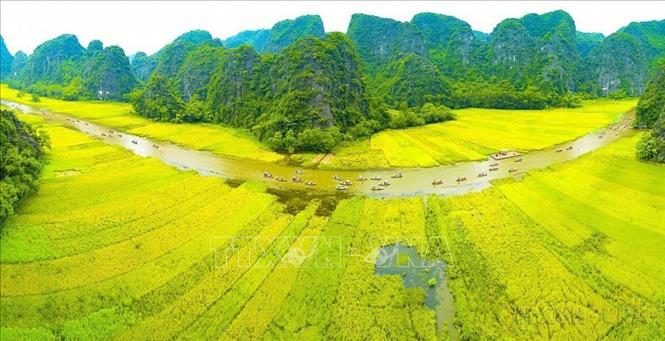 Tam Cốc – Bích Động nằm trong quần thể danh thắng Tràng An đã được UNESCO công nhận là Di sản văn hóa, thiên nhiên thế giới. Ảnh: Minh Đức – TTXVN