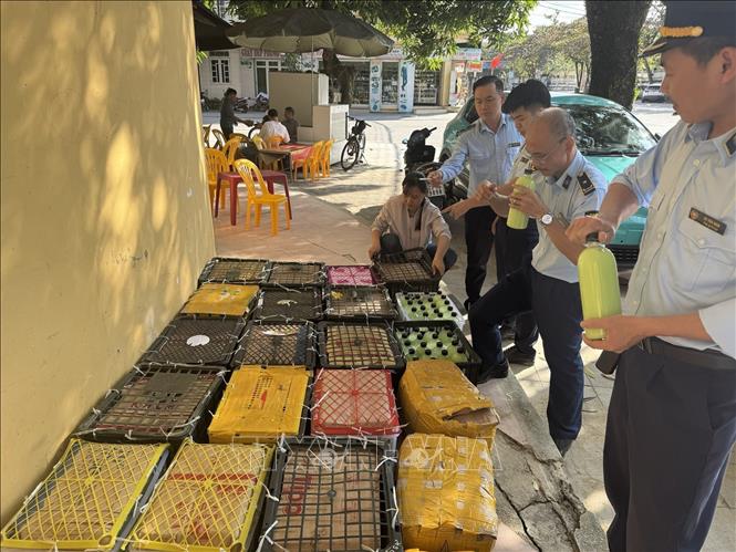 Đội Quản lý thị trường số 6 (Tuyên Quang) phát hiện 440 chai rượu màu xanh cốm loại 1 lít/chai không rõ nguồn gốc xuất xứ. Ảnh: TTXVN phát