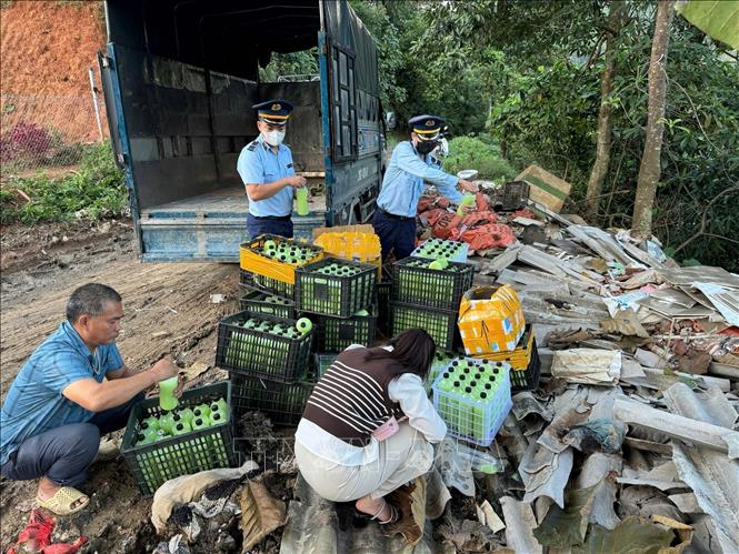 Đội Quản lý thị trường số 6 (Tuyên Quang) phát hiện 440 chai rượu màu xanh cốm loại 1 lít/chai không rõ nguồn gốc xuất xứ. Ảnh: TTXVN phát