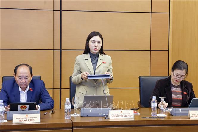 Đại biểu Quốc hội tỉnh Điện Biên Quàng Thị Nguyệt phát biểu. Ảnh: Doãn Tấn - TTXVN