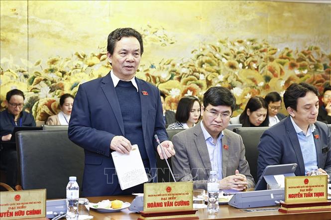 Đại biểu Quốc hội TP Hà Nội Hoàng Văn Cường phát biểu. Ảnh: Doãn Tấn - TTXVN
