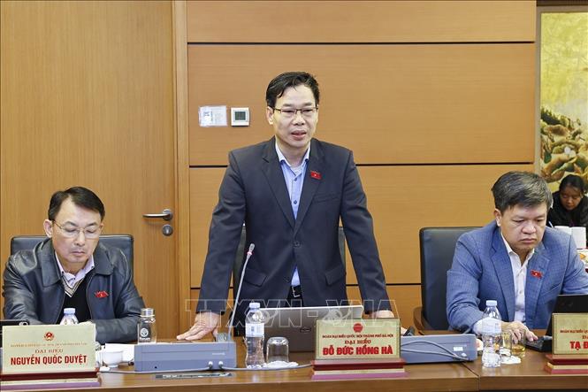 Đại biểu Quốc hội TP Hà Nội Đỗ Đức Hồng Hà phát biểu. Ảnh: Doãn Tấn - TTXVN