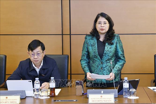 Đại biểu Quốc hội tỉnh Lâm Đồng Trần Hồng Nguyên phát biểu. Ảnh: Doãn Tấn - TTXVN