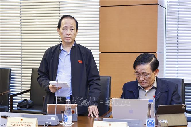 Đại biểu Quốc hội tỉnh Vĩnh Long Nguyễn Trúc Sơn phát biểu. Ảnh: Doãn Tấn - TTXVN