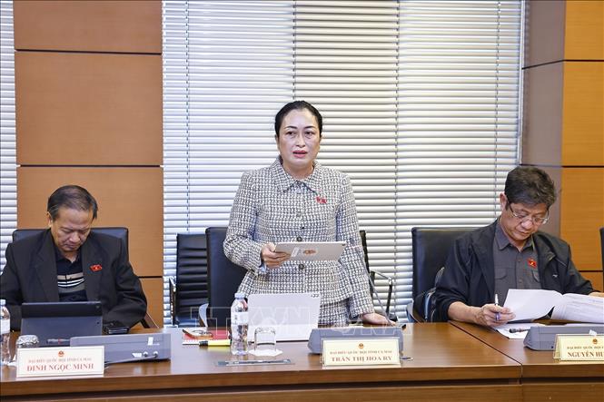 Đại biểu Quốc hội tỉnh Cà Mau Trần Thị Hoa Ry phát biểu. Ảnh: Doãn Tấn - TTXVN