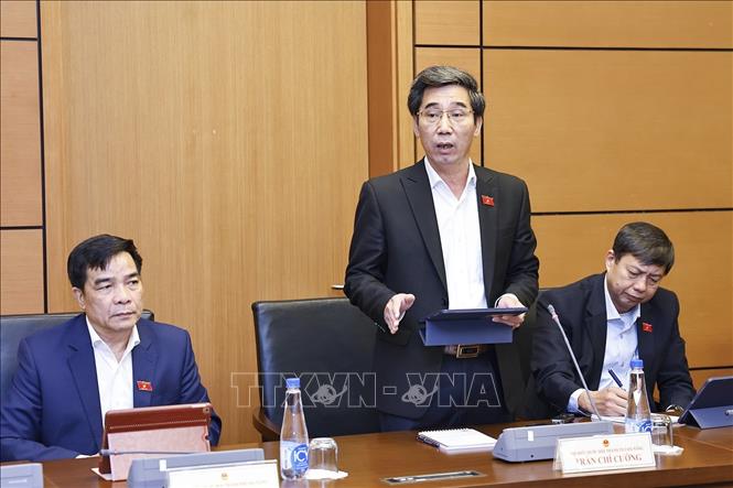 Đại biểu Quốc hội TP Đà Nẵng Trần Trí Cường phát biểu. Ảnh: Doãn Tấn - TTXVN