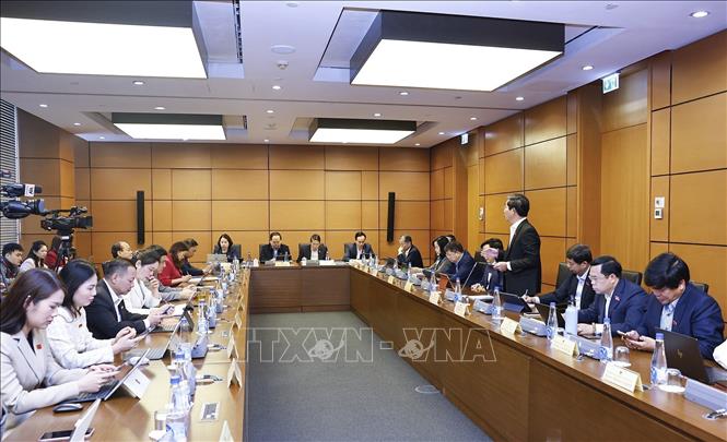 Đoàn đại biểu Quốc hội TP Đà Nẵng và tỉnh Tuyên Quang thảo luận ở tổ. Ảnh: Doãn Tấn - TTXVN