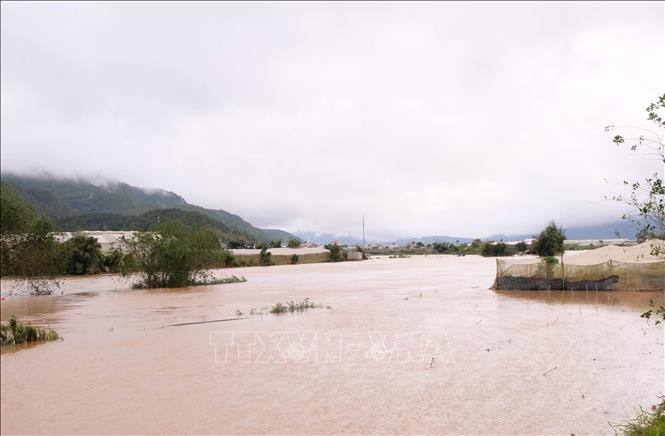Nước lũ dâng cao gây ngập hai bên sông Đa Nhim (đoạn qua xã Ka Đô, Lâm Đồng), sau khi Công ty Cổ phần thủy điện Đa Nhim – Hàm Thuận – Đa Mi xả lũ từ sáng 17/11/2025. Ảnh: Nguyễn Dũng – TTXVN