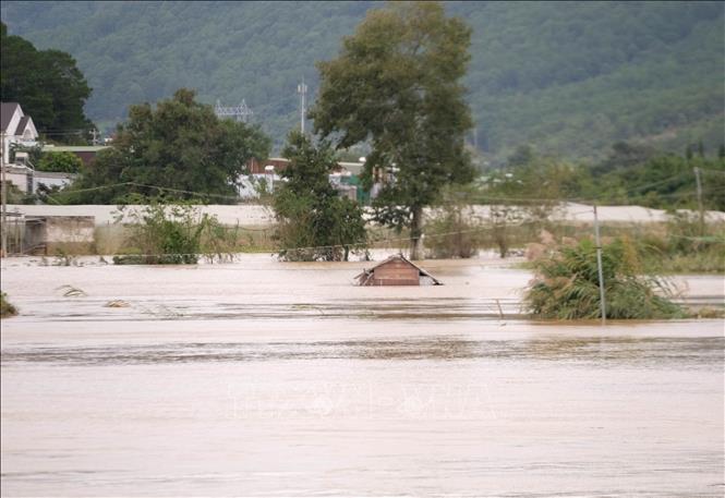 Một chòi để nông cụ của nhà vườn ven sông Đa Nhim, xã Ka Đô (Lâm Đồng) vẫn bị ngập nặng trong ngày 18/11/2025. Ảnh: Nguyễn Dũng – TTXVN