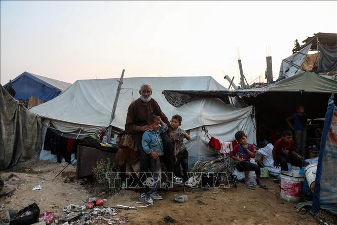 Người dân Palestine tại Dải Gaza ngày 6/11/2025. Ảnh: THX/TTXVN