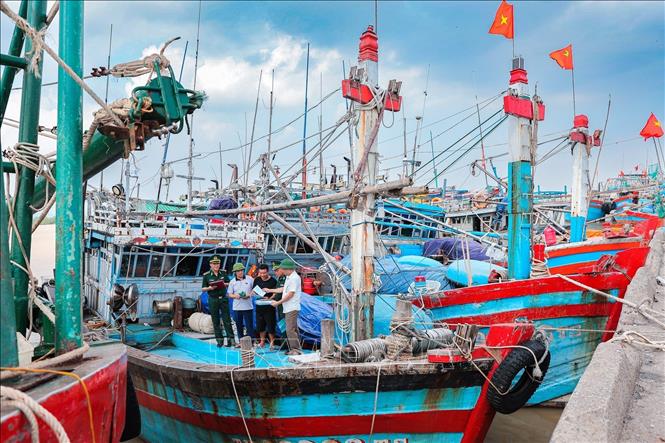 Ban quản lý Cảng cá Lạch Hới phối hợp cùng lực lượng biên phòng tuyên truyền quy định của pháp luật về chống khai thác IUU cho chủ phương tiện. Ảnh: Lê Đông - TTXVN