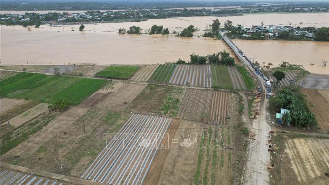 Vùng rau sạch theo mô hình VietGAP lớn nhất của xã Đại Lộc (thành phố Đà Nẵng) dần được khôi phục. Ảnh: Khoa Chương - TTXVN 