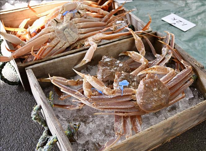 Cua tuyết được bày bán tại cảng ở Hyogo, Nhật Bản. Ảnh: Kyodo/TTXVN