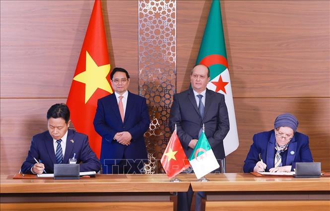 Thủ tướng Phạm Minh Chính và Thủ tướng Algeria Sifi Ghrieb chứng kiến ký Hiệp định về hợp tác trong lĩnh vực giáo dục giữa hai Chính phủ. Ảnh: Dương Giang-TTXVN 