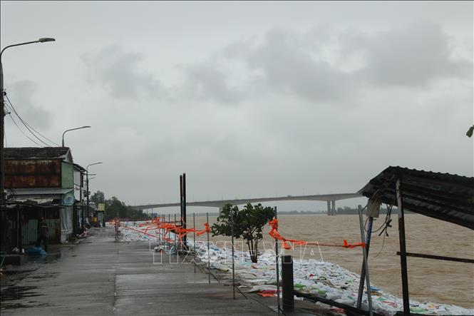 Tuyến kè dài hàng kilomet đã được gia cố tạm thời. Ảnh: Anh Dũng - TTXVN