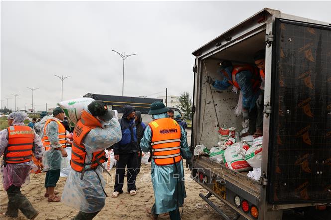Lực lượng vũ trang và nhân dân khẩn trương đóng các bao cát để gia cố bờ kè An Lương. Ảnh: Anh Dũng – TTXVN
