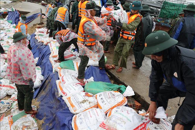 Hàng trăm cán bộ, chiến sĩ các lực lượng vũ trang cùng nhân dân địa phương đang khẩn trương gia cố bờ kè An Lương. Ảnh: Anh Dũng – TTXVN