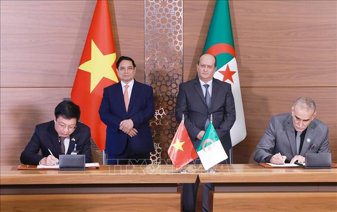 Thủ tướng Phạm Minh Chính và Thủ tướng Algeria Sifi Ghrieb chứng kiến ký Bản ghi nhớ giữa Liên đoàn thương mại và công nghiệp Việt Nam (VCCI) và Phòng Thương mại và Công nghiệp Algeria (CACI). Ảnh: Dương Giang-TTXVN