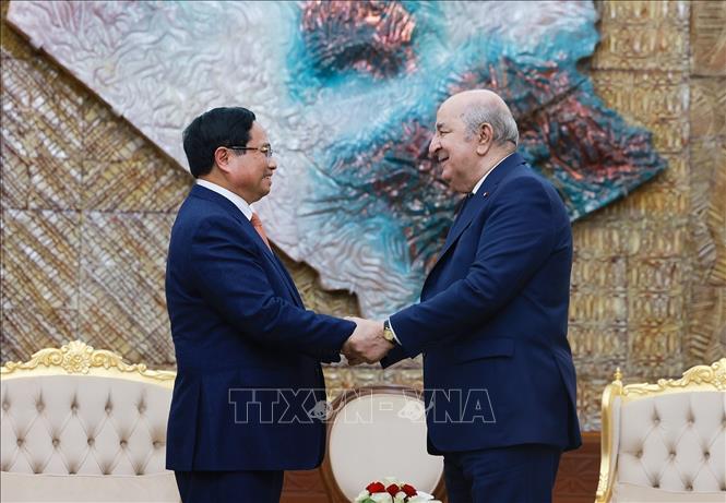 Thủ tướng Phạm Minh Chính hội kiến Tổng thống Algeria Abdelmadjid Tebboune. Ảnh: Dương Giang-TTXVN 