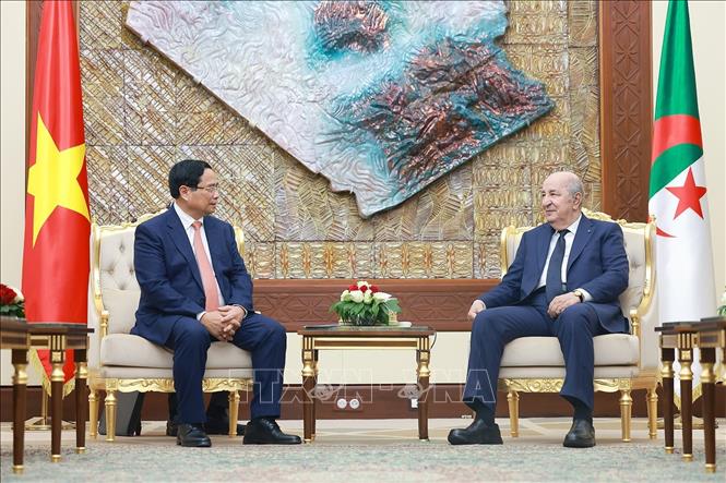 Thủ tướng Phạm Minh Chính hội kiến Tổng thống Algeria Abdelmadjid Tebboune. Ảnh: Dương Giang-TTXVN 
