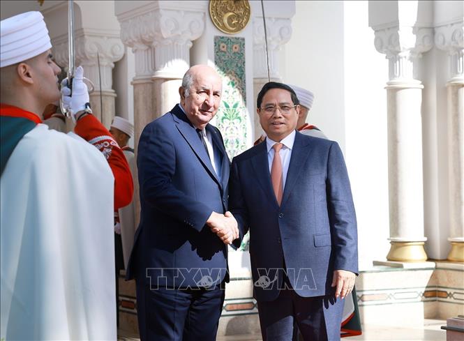 Thủ tướng Phạm Minh Chính hội kiến Tổng thống Algeria Abdelmadjid Tebboune. Ảnh: Dương Giang-TTXVN 
