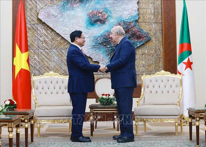 Thủ tướng Phạm Minh Chính hội kiến Tổng thống Algeria Abdelmadjid Tebboune. Ảnh: Dương Giang-TTXVN 