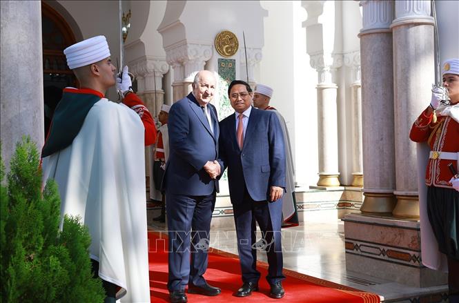 Thủ tướng Phạm Minh Chính hội kiến Tổng thống Algeria Abdelmadjid Tebboune. Ảnh: Dương Giang-TTXVN 