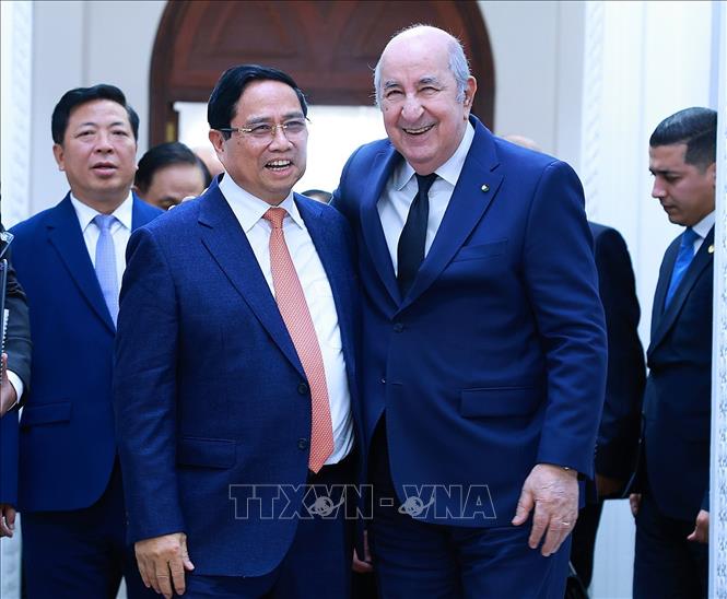 Thủ tướng Phạm Minh Chính hội kiến Tổng thống Algeria Abdelmadjid Tebboune. Ảnh: Dương Giang-TTXVN