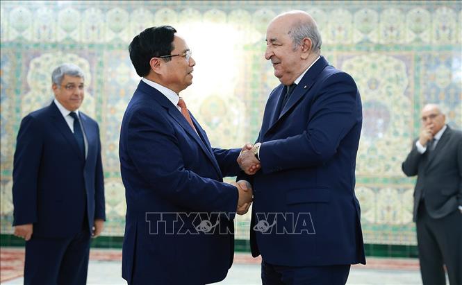 Thủ tướng Phạm Minh Chính hội kiến Tổng thống Algeria Abdelmadjid Tebboune. Ảnh: Dương Giang-TTXVN 